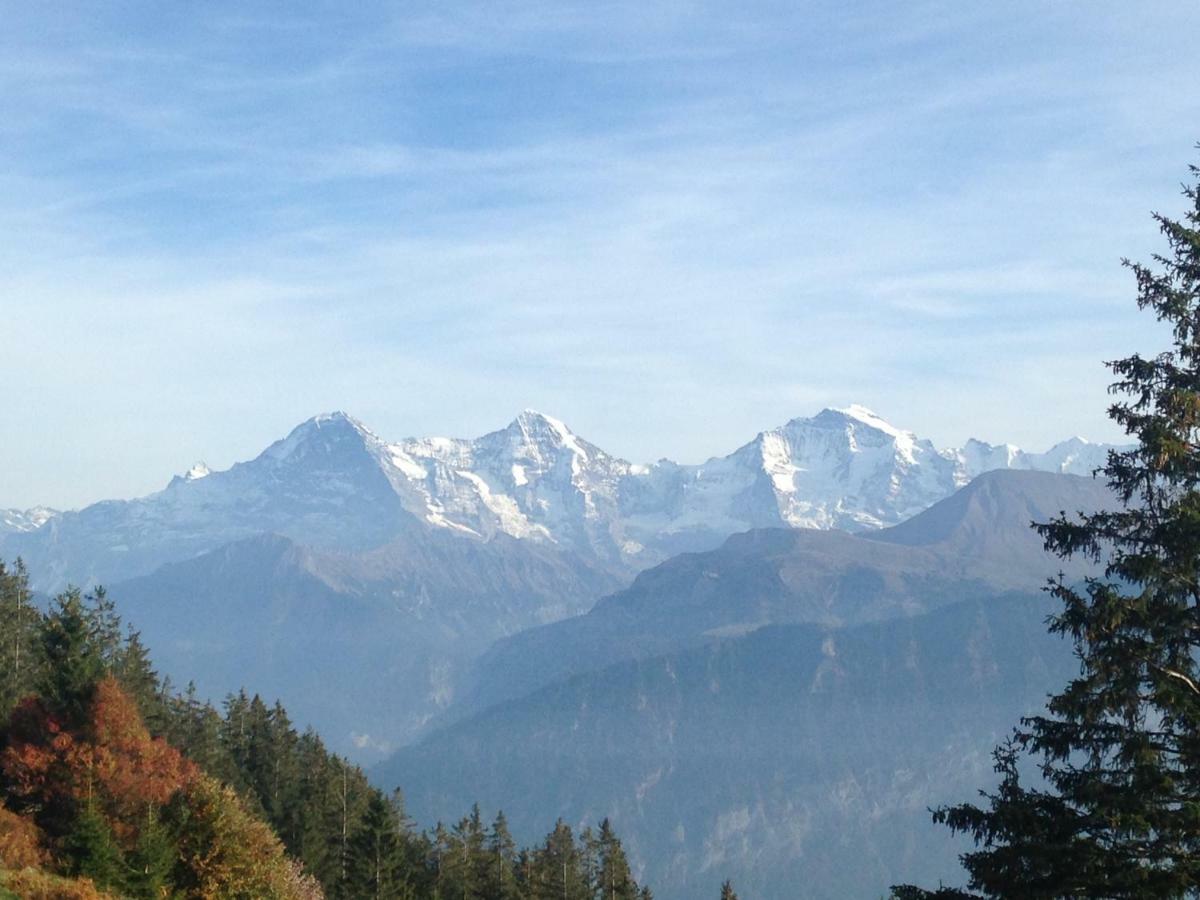 App. Seeblick Top Of Interlaken 베아텐베르크 외부 사진