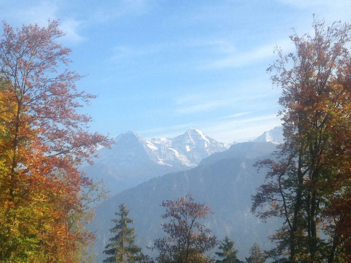 App. Seeblick Top Of Interlaken 베아텐베르크 외부 사진