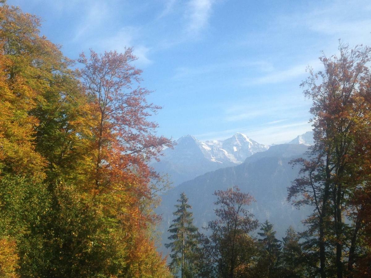 App. Seeblick Top Of Interlaken 베아텐베르크 외부 사진