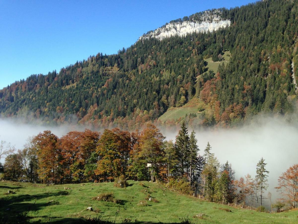 App. Seeblick Top Of Interlaken 베아텐베르크 외부 사진